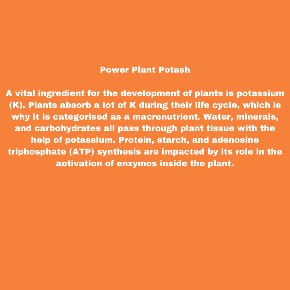 POTASH